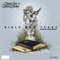 Bible & Tears