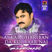 Aj Kal Ghariban da Koi Yaar Nai, Vol. 1