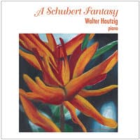 A Schubert Fantasy