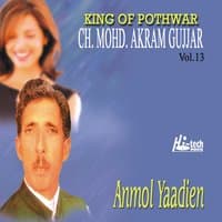 Anmol Yaadien Vol. 13 - Pothwari Ashairs