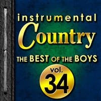 Instrumental Country: The Best of the Boys, Vol. 34