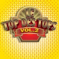 Le Top des Tops des années 80 - 90, Vol. 2