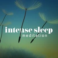 Intense Sleep Meditation