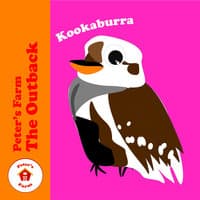 Kookaburra