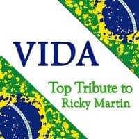 Vida