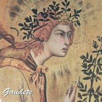 Gaudete