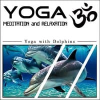 Yoga Meditation and Relaxation: Yoga With Dolphins