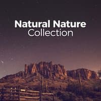 Natural Nature Collection