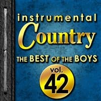 Instrumental Country: The Best of the Boys, Vol. 42