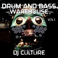 Drum and Bass Warehouse, Vol. 1