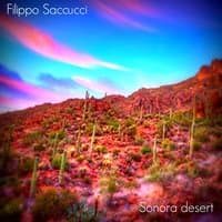 Ambient Music: Sonora Desert