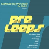 Dadmau5e Electro House DJ Tools