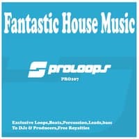 Fantastic House Music Loops