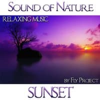 Sound of Nature: Sunset