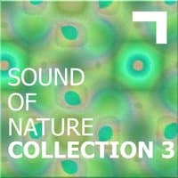 Sound of the nature – collection 3