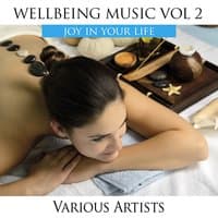 Wellbeing Music, Vol. 2