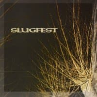 Slugfest