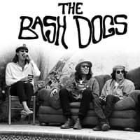 The Bash Dogs