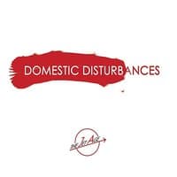 Domestic Disturbances