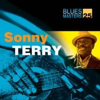 Blues Masters Vol. 25