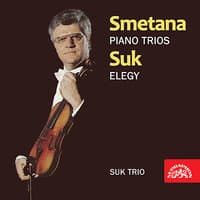 Smetana, Suk: Piano Trios - Elegy