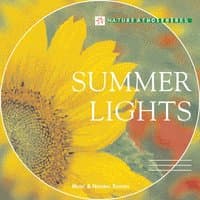 Nature Atmosphere: Summer Lights