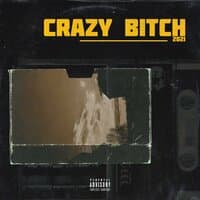 Crazy Bitch