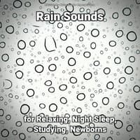 Rain Sounds for Relaxing, Night Sleep, Studying, Newborns