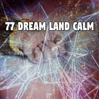 77 Dream Land Calm