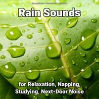 Rain Sounds for Relaxation, Napping, Studying, Next-Door Noise