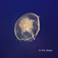 In the Deep