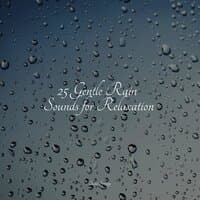 25 Gentle Rain Sounds for Relaxation