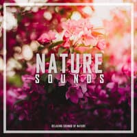 Relaxing Sounds of Nature