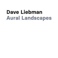 Aural Landscapes