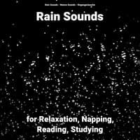 Rain Sounds for Relaxation, Napping, Reading, Studying