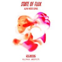 State of Flux