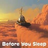 Before You Sleep