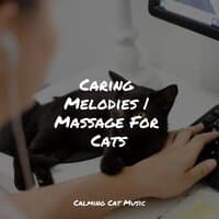 Caring Melodies | Massage For Cats