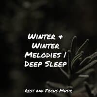 Winter & Winter Melodies | Deep Sleep