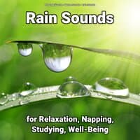 Rain Sounds for Relaxation, Napping, Studying, Well-Being