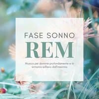 Fase sonno REM: Musica per dormire profondamente e in armonia sollievo dall'insonnia