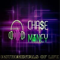 Instrumentals Of Life