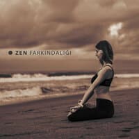 Zen Farkındalığı: Budist Meditasyon Müziği