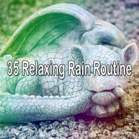 35 Relaxing Rain Routine