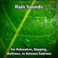 Rain Sounds for Relaxation, Napping, Wellness, to Release Sadness