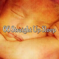 66 Straight up Sleep