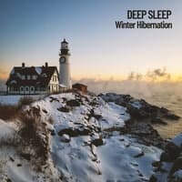 Deep Sleep: Winter Hibernation