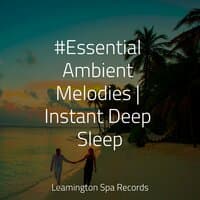 #Essential Ambient Melodies | Instant Deep Sleep