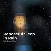 Reposeful Sleep in Rain