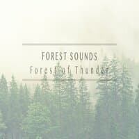 Forest of Thunder